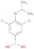 Boronic acid, B-[3,5-dichloro-4-(1-methylethoxy)phenyl]-