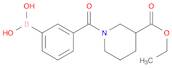 3-Piperidinecarboxylic acid, 1-(3-boronobenzoyl)-, 3-ethyl ester