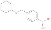 Boronic acid, B-[4-[(cyclohexyloxy)methyl]phenyl]-