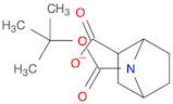 7-Azabicyclo[2.2.1]heptane-2,7-dicarboxylic acid, 7-(1,1-dimethylethyl) ester