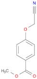 Benzoic acid, 4-(cyanomethoxy)-, methyl ester