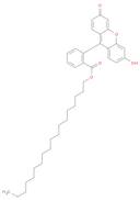 Benzoic acid, 2-(6-hydroxy-3-oxo-3H-xanthen-9-yl)-, octadecyl ester