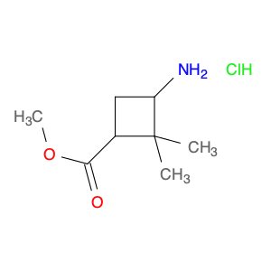 Methyl 3-amino-2,2-dimethylcyclobutanecarboxylate hydrochloride