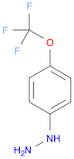 Hydrazine, [4-(trifluoromethoxy)phenyl]-