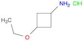 Cyclobutanamine, 3-ethoxy-, hydrochloride (1:1)