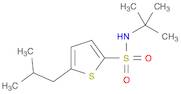 N-(tert-Butyl)-5-isobutylthiophene-2-sulfonamide