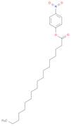 Octadecanoic acid, 4-nitrophenyl ester