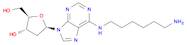 Adenosine, N-(6-aminohexyl)-2'-deoxy- (9CI)