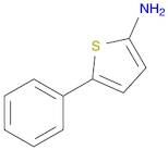 2-Thiophenamine, 5-phenyl-