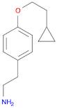 Benzeneethanamine, 4-(2-cyclopropylethoxy)-