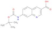 3-Quinolinecarboxylic acid, 7-[[(1,1-dimethylethoxy)carbonyl]amino]-