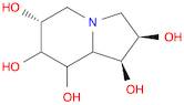 1,2,6,7,8-Indolizinepentol, octahydro-, (1S,2R,6R,7R,8S,8aS)-