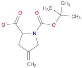 1,2-Pyrrolidinedicarboxylic acid, 4-methylene-, 1-(1,1-dimethylethyl) ester