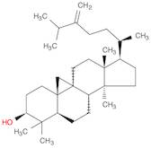 9,19-Cyclolanostan-3-ol, 24-methylene-, (3β)-