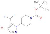 1-Piperidinecarboxylic acid, 4-[4-bromo-5-(difluoromethyl)-1H-pyrazol-1-yl]-, 1,1-dimethylethyl es…