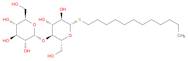 β-D-Glucopyranoside, dodecyl 4-O-α-D-glucopyranosyl-1-thio-