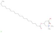 1-Propanaminium, 3-carboxy-N,N,N-trimethyl-2-[(1-oxoeicosyl)oxy]-, chloride (1:1)