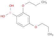 Boronic acid, (2,4-dipropoxyphenyl)- (9CI)