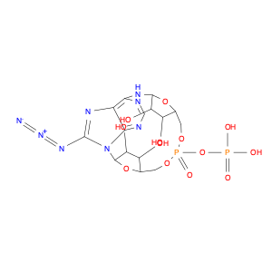 Adenosine 5'-(trihydrogen diphosphate), 8-azido-1-β-D-ribofuranosyl-, intramol. P',5''-ester (9CI)