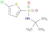 2-Thiophenesulfonamide, 5-chloro-N-(1,1-dimethylethyl)-