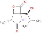 6-Oxa-2-azabicyclo[3.2.0]heptane-3,7-dione, 1-[(1S)-1-hydroxy-2-methylpropyl]-4-methyl-, (1R,4R,5S…