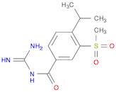 Benzamide, N-(aminoiminomethyl)-4-(1-methylethyl)-3-(methylsulfonyl)-