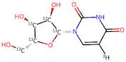 Uridine-1',2',3',4',5'-13C5 (9CI)