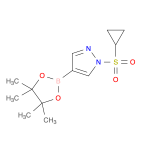 1H-Pyrazole, 1-(cyclopropylsulfonyl)-4-(4,4,5,5-tetramethyl-1,3,2-dioxaborolan-2-yl)-