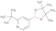 Pyridine, 2-(1,1-dimethylethyl)-4-(4,4,5,5-tetramethyl-1,3,2-dioxaborolan-2-yl)-