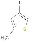 4-Iodo-2-methylthiophene
