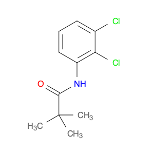 N1-(2,3-DICHLOROPHENYL)-2,2-DIMETHYLPROPANAMIDE