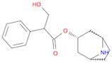 Benzeneacetic acid, α-(hydroxymethyl)-, (3-endo)-8-azabicyclo[3.2.1]oct-3-yl ester