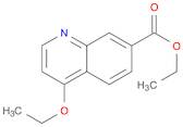 7-Quinolinecarboxylic acid, 4-ethoxy-, ethyl ester