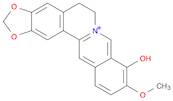 Benzo[g]-1,3-benzodioxolo[5,6-a]quinolizinium, 5,6-dihydro-9-hydroxy-10-methoxy-