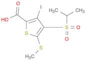 2-Thiophenecarboxylic acid, 3-iodo-4-[(1-methylethyl)sulfonyl]-5-(methylthio)-