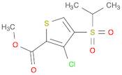 2-Thiophenecarboxylic acid, 3-chloro-4-[(1-methylethyl)sulfonyl]-, methyl ester