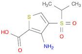 2-Thiophenecarboxylic acid, 3-amino-4-[(1-methylethyl)sulfonyl]-