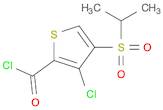 2-Thiophenecarbonyl chloride, 3-chloro-4-[(1-methylethyl)sulfonyl]-