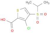 2-Thiophenecarboxylic acid, 3-chloro-4-[(1-methylethyl)sulfonyl]-