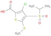 2-Thiophenecarboxylic acid, 3-chloro-4-[(1-methylethyl)sulfonyl]-5-(methylthio)-