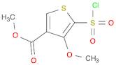 3-Thiophenecarboxylic acid, 5-(chlorosulfonyl)-4-methoxy-, methyl ester