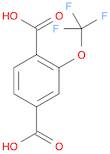 1,4-Benzenedicarboxylic acid, 2-(trifluoromethoxy)-