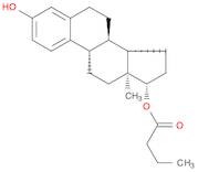 Estra-1,3,5(10)-triene-3,17-diol (17β)-, 17-butanoate (9CI)