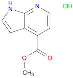 1H-Pyrrolo[2,3-b]pyridine-4-carboxylic acid, methyl ester, hydrochloride (1:1)