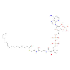 Coenzyme A, S-(9Z)-9-hexadecenoate