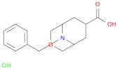 3-Oxa-9-azabicyclo[3.3.1]nonane-7-carboxylic acid, 9-(phenylmethyl)-, hydrochloride (1:1)