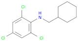 Benzenamine, 2,4,6-trichloro-N-(cyclohexylmethyl)-