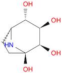 8-Azabicyclo[3.2.1]octane-1,2,3,4-tetrol, (1R,2R,3R,4S,5R)-