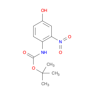 Carbamic acid, (4-hydroxy-2-nitrophenyl)-, 1,1-dimethylethyl ester (9CI)