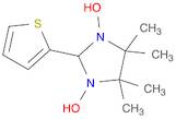 Imidazolidine, 1,3-dihydroxy-4,4,5,5-tetramethyl-2-(2-thienyl)-